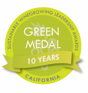 2024 10th Anniversary Green Medal Logo